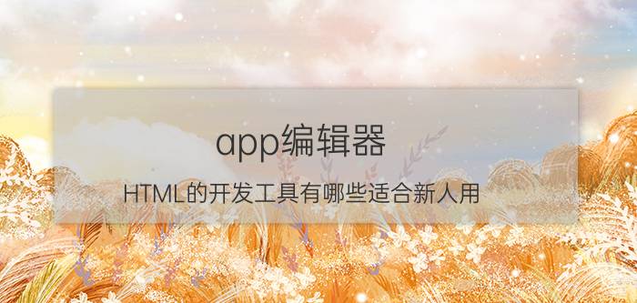 app编辑器 HTML的开发工具有哪些适合新人用？